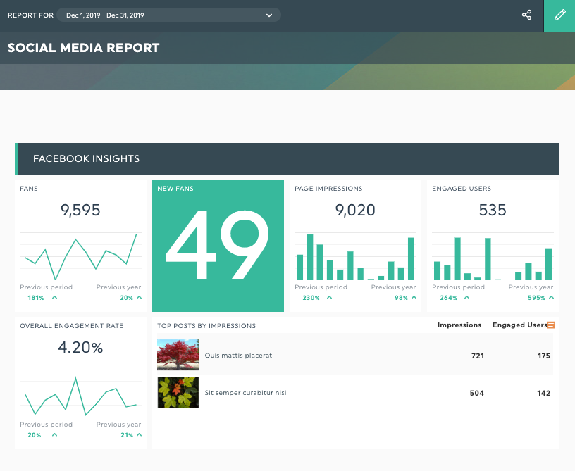 social media report example