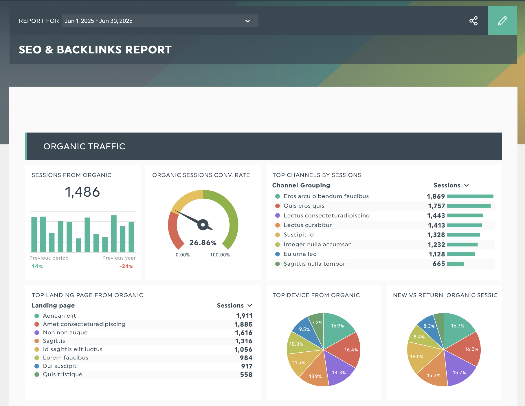 SEO Report template